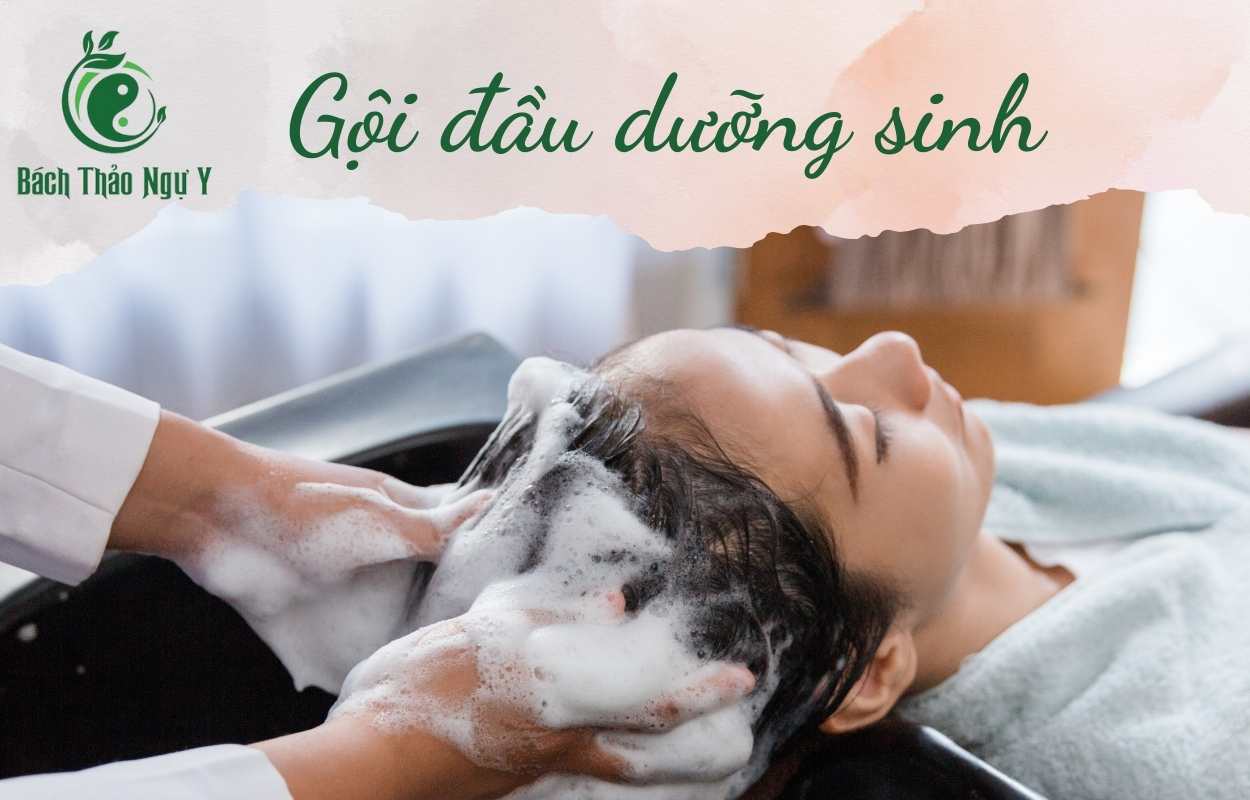 Gội đầu dưỡng sinh Bách Thảo Ngự Y