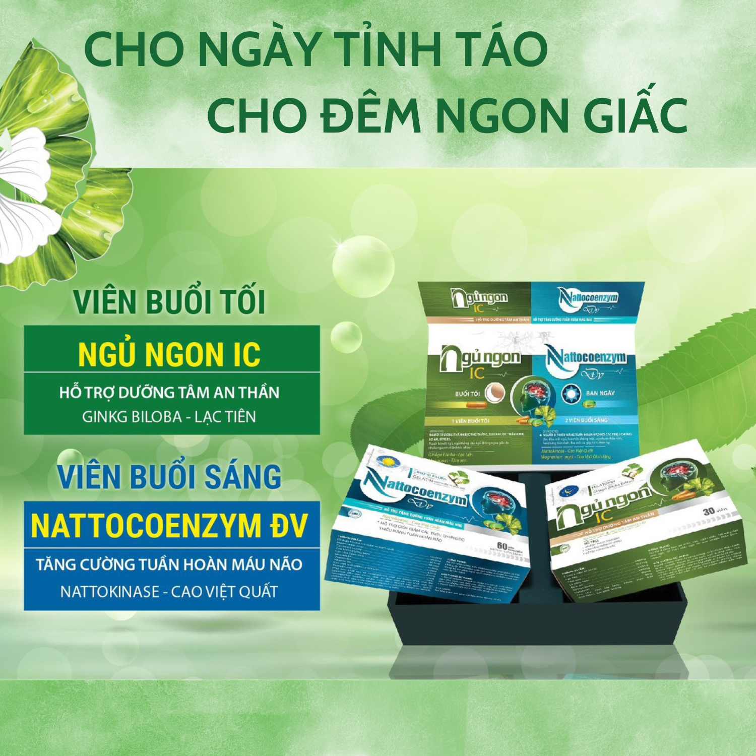 Tăng cường tuần hoàn máu não