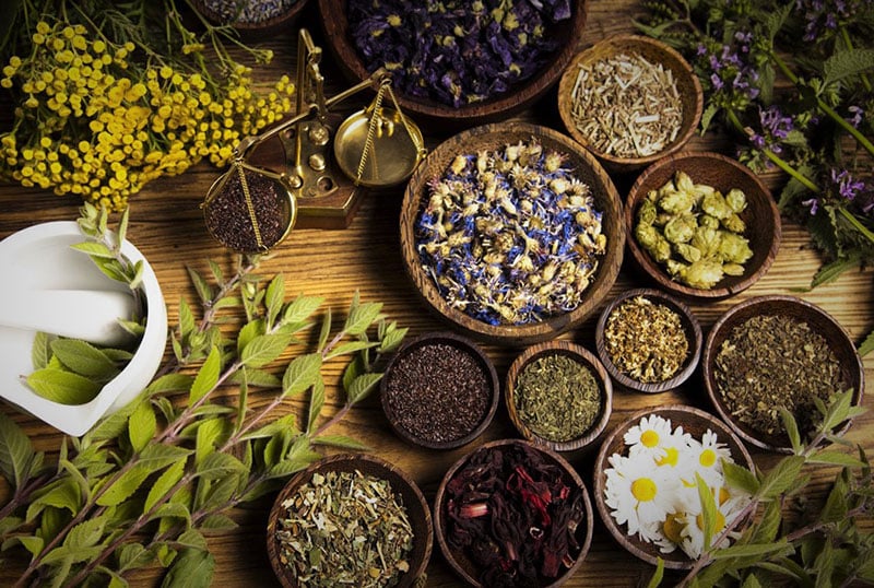 Tìm hiểu các phương pháp trị liệu đông y khách hàng cần biết