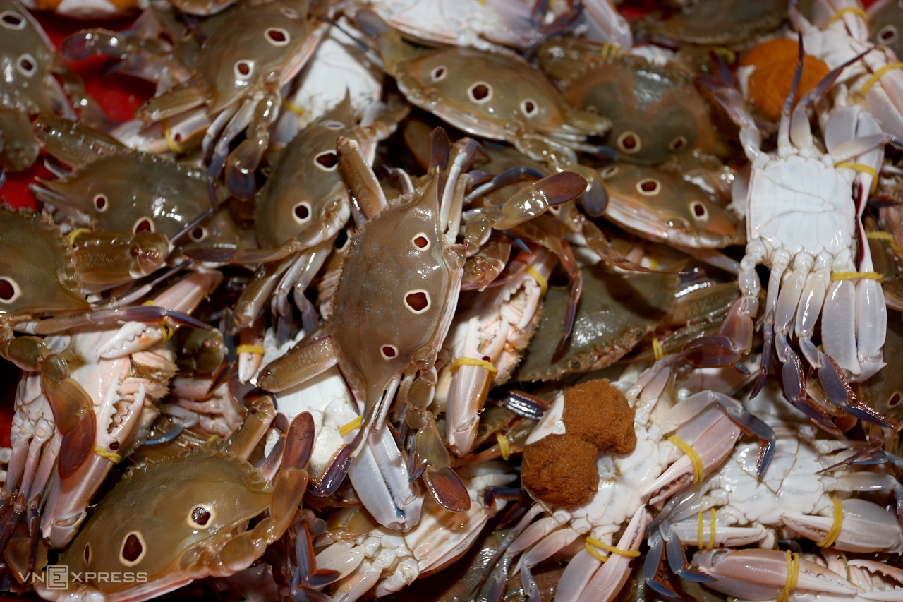 Lượng người tìm mua nông sản Việt trên Alibaba tăng 50% Lượng người tìm mua nông sản Việt trên Alibaba tăng 50%