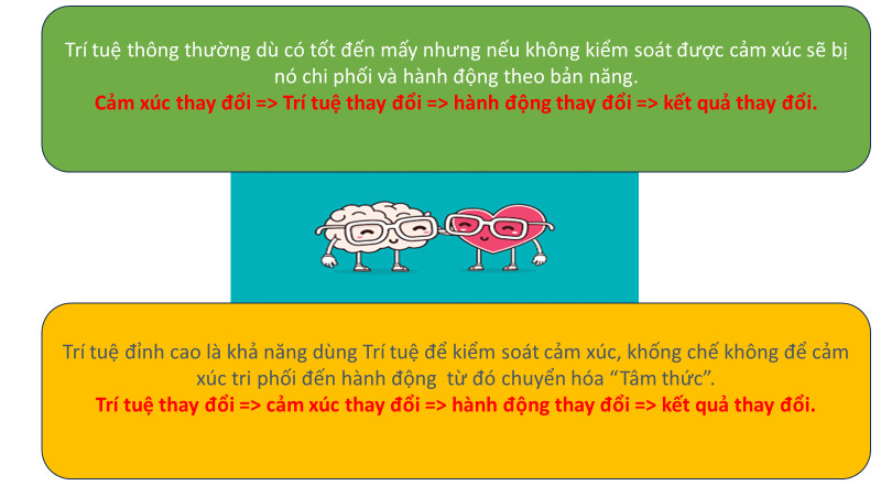 Khi có đủ Trí tuệ Chúng ta có thể vượt qua được mọi thứ, kể cả nỗi sợ!