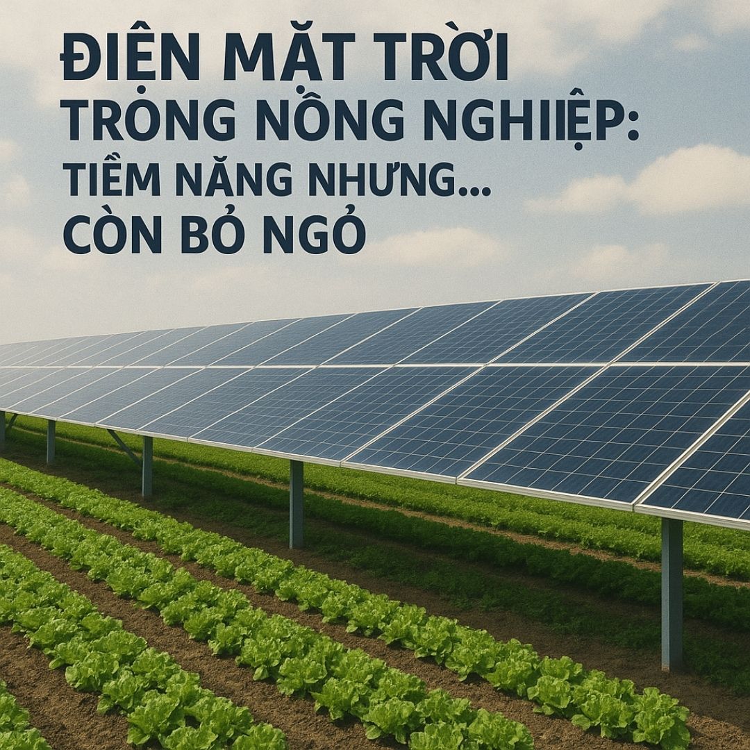 Điện mặt trời trong nông nghiệp: Tiềm năng nhưng... còn bỏ ngỏ