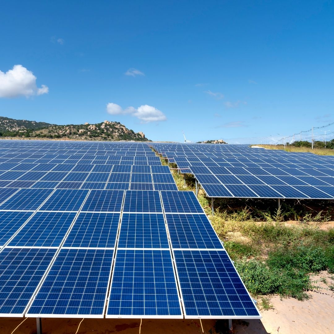 Sự khác biệt giữa tấm pin N-Type và P-Type