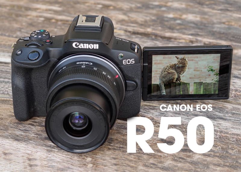 [Đánh giá] Canon EOS R50: Máy Ảnh Mirrorless APS-C Nhỏ Gọn Cho Người Mới Bắt Đầu