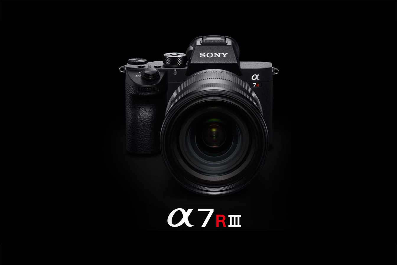 [Đánh giá] Sony A7R III: Đỉnh Cao của Độ Phân Giải và Tính Linh Hoạt