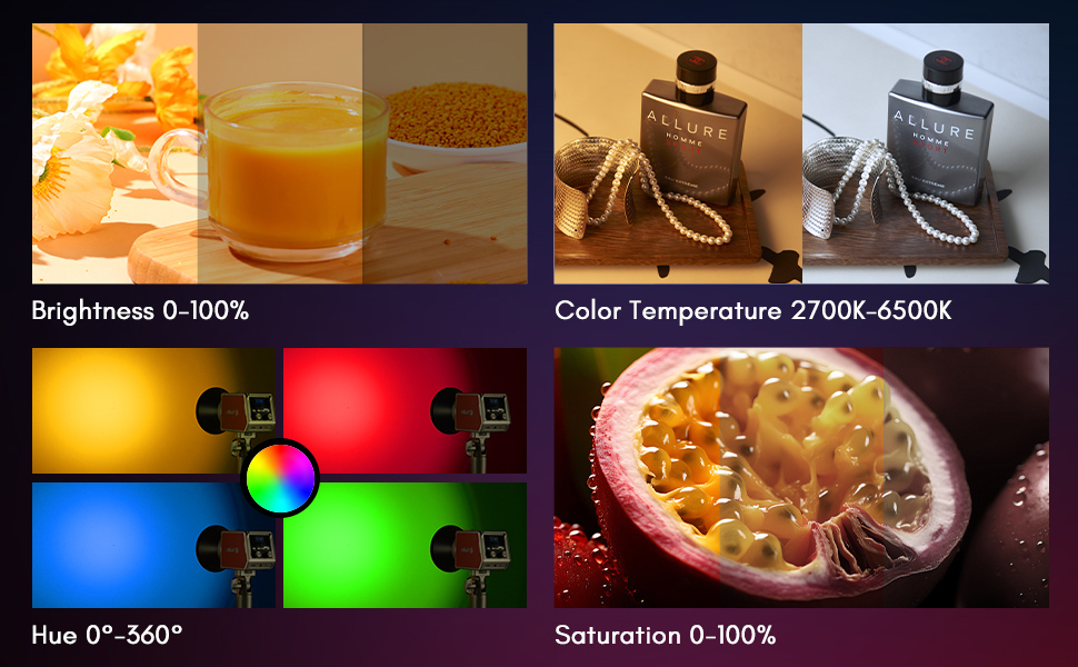 den led tolifo pl 100 rgb