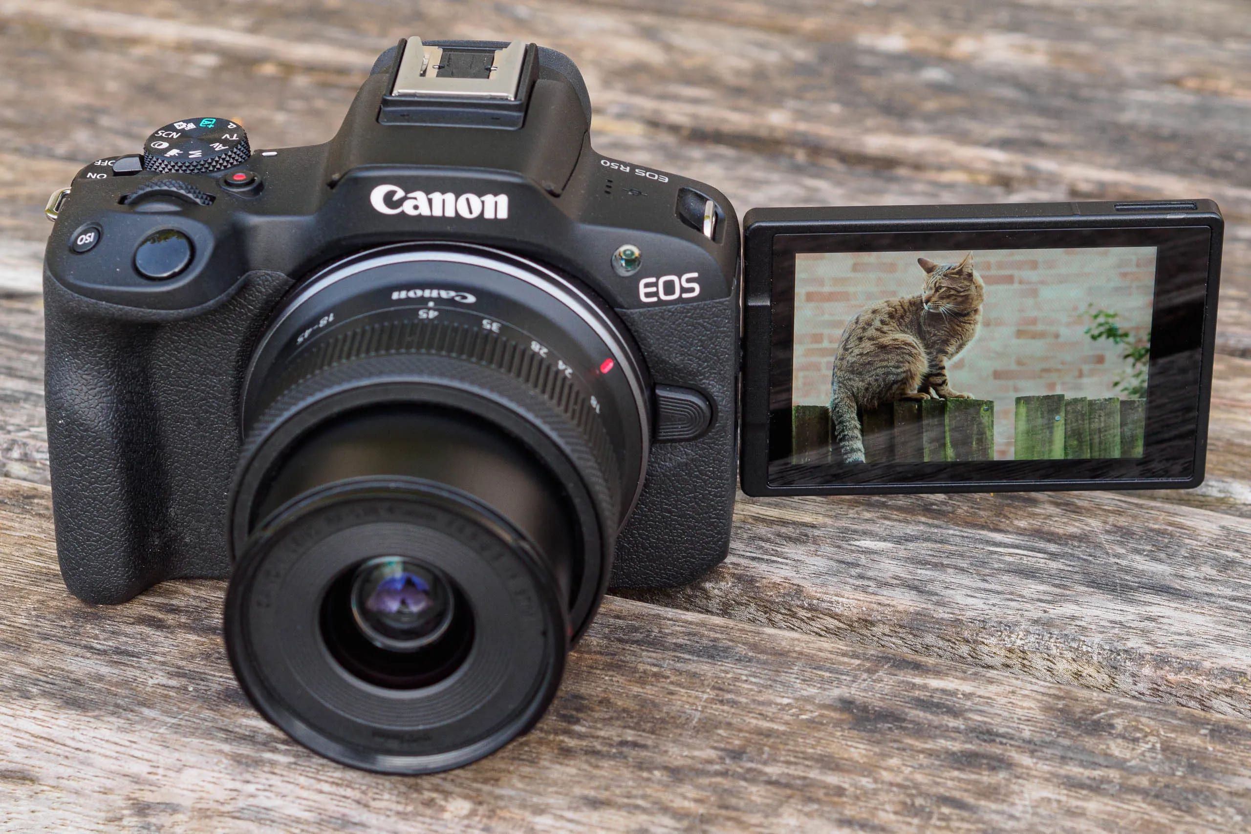 Máy ảnh canon loại nào tốt và địa chỉ mua Canon R50 uy tín ở đâu?