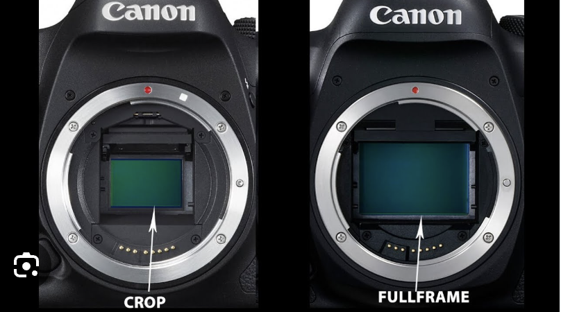 Sự khác nhau giữa máy crop và máy full-frame