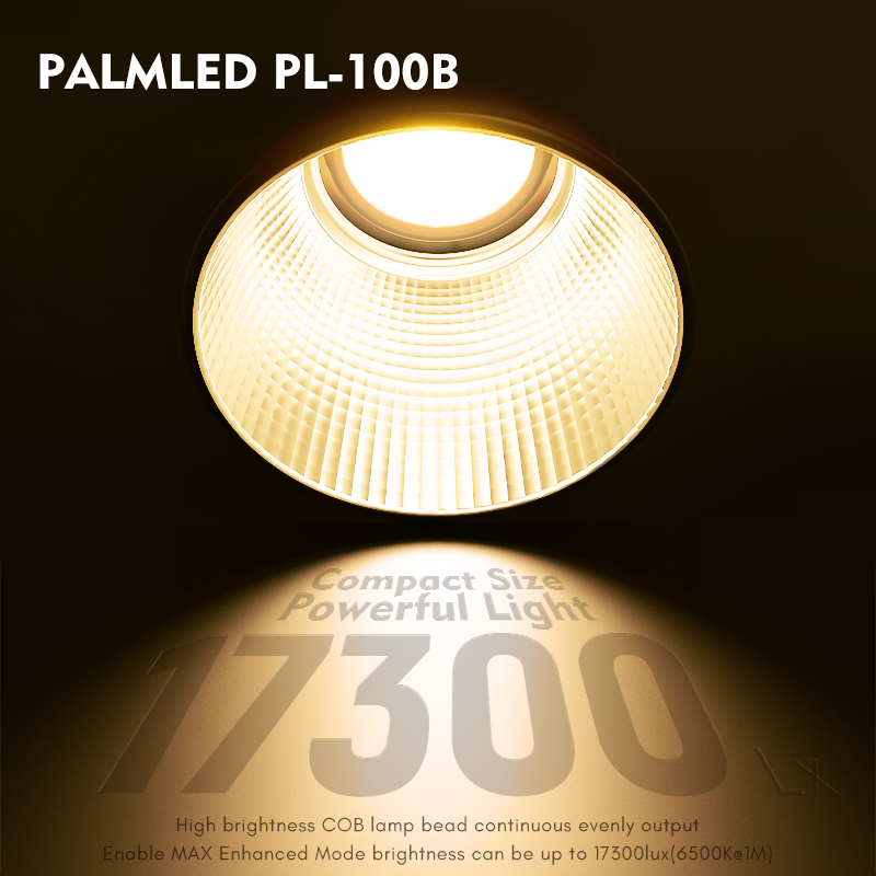 Đèn led Tolifo PL-100B - PALM LED