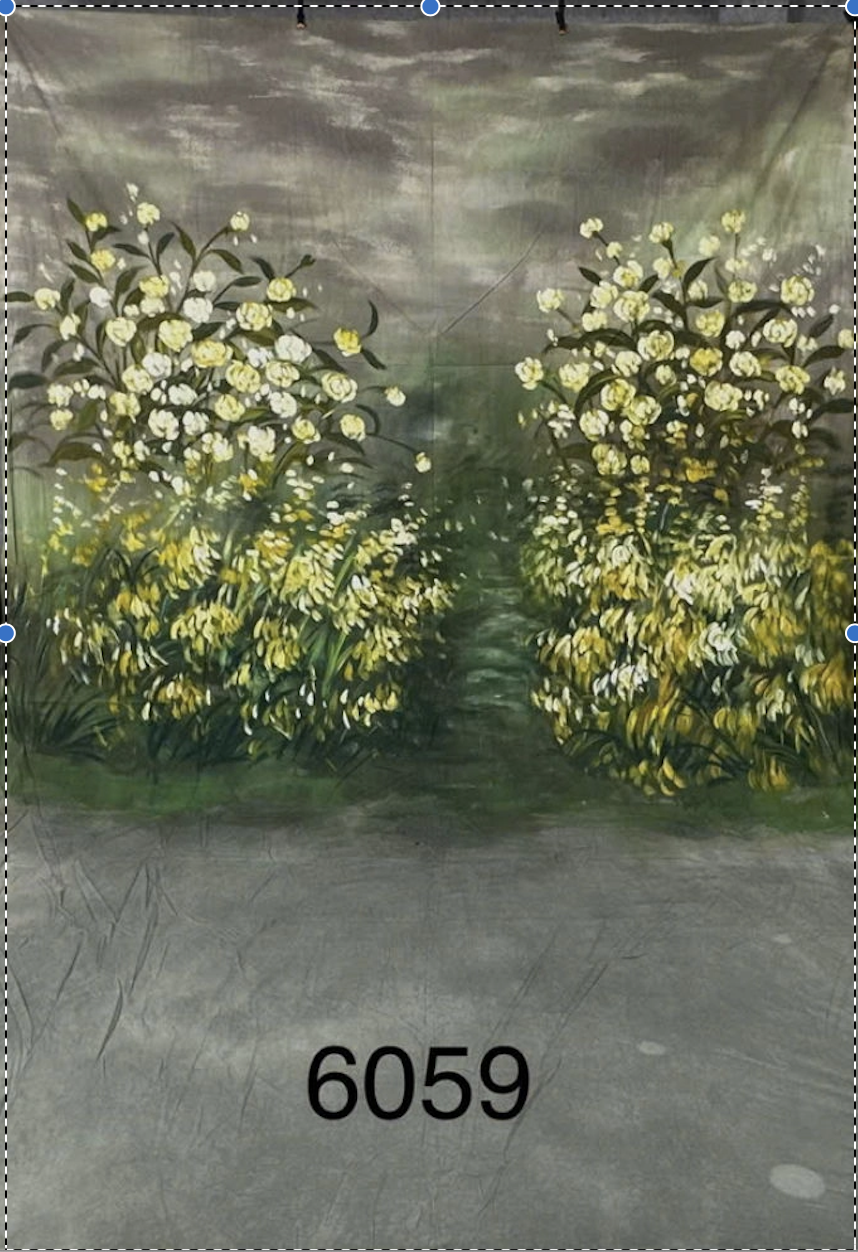 Phông vải vẽ hoa Y6059 3x6m