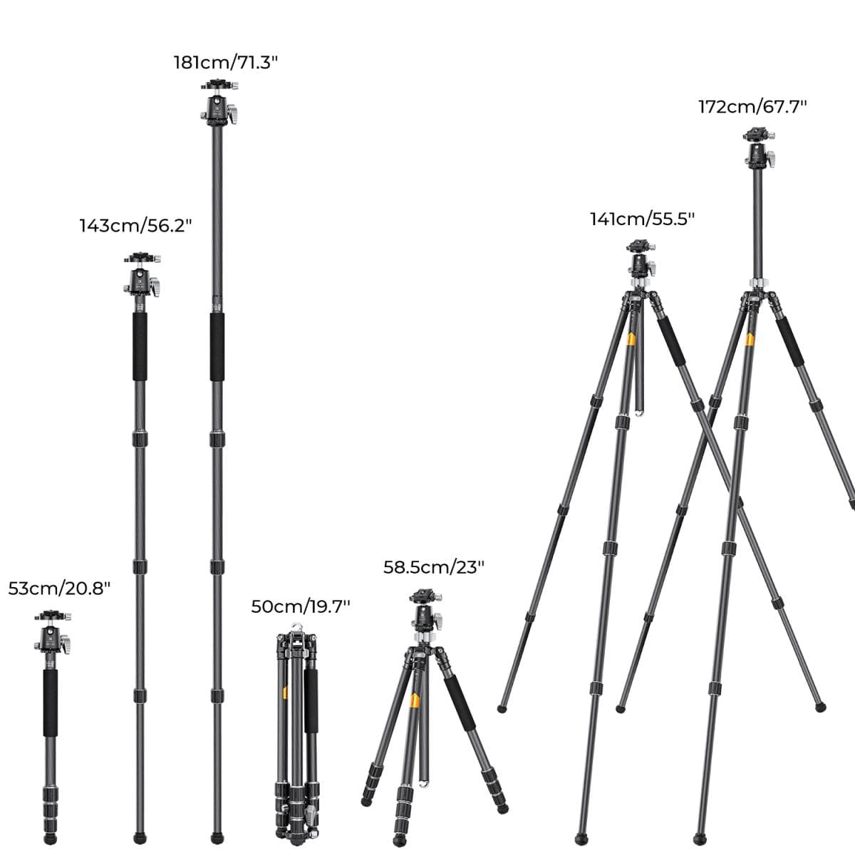 Chân máy ảnh  X254C4+BH-30 carbon fiber
