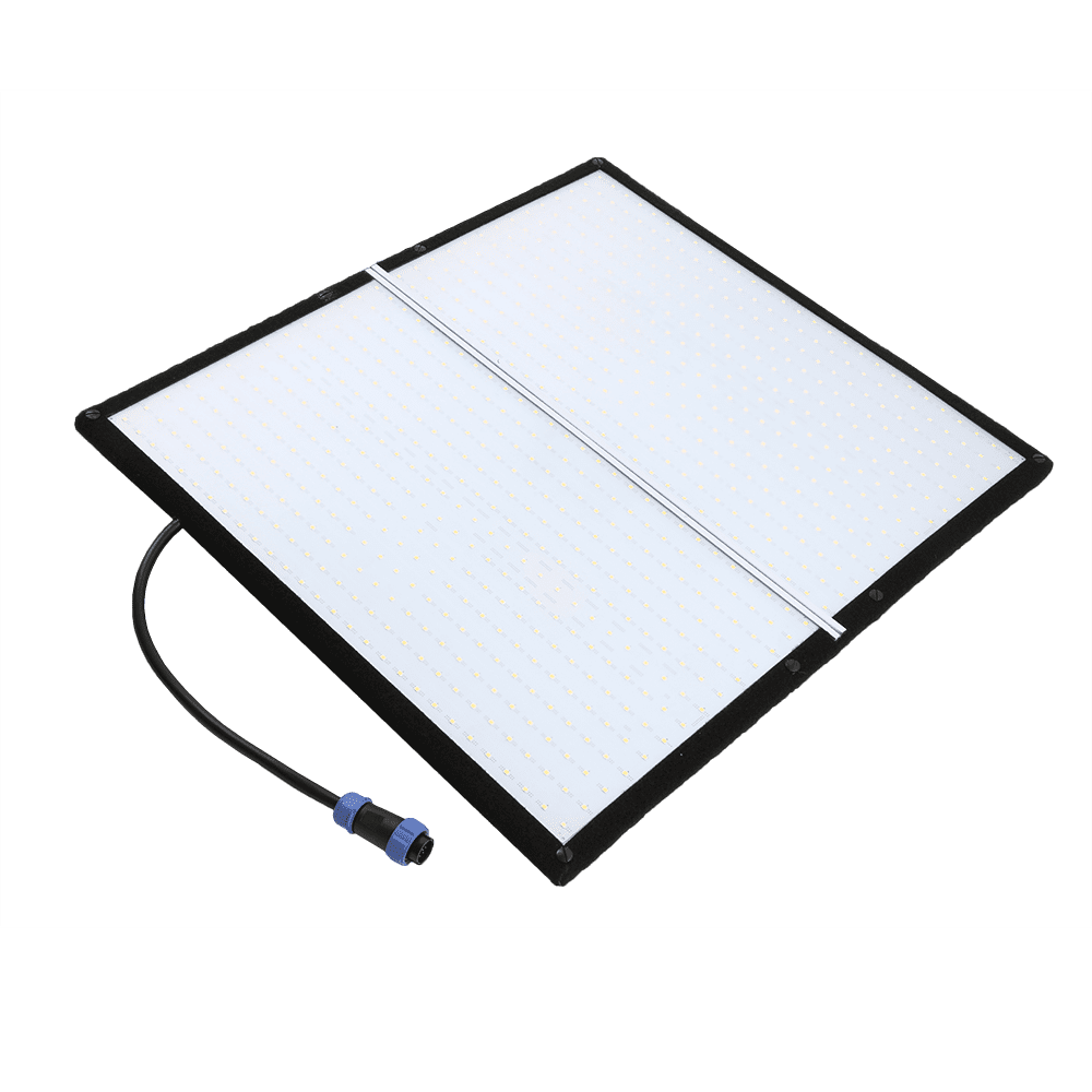 Lishuai Q-150 kèm vali