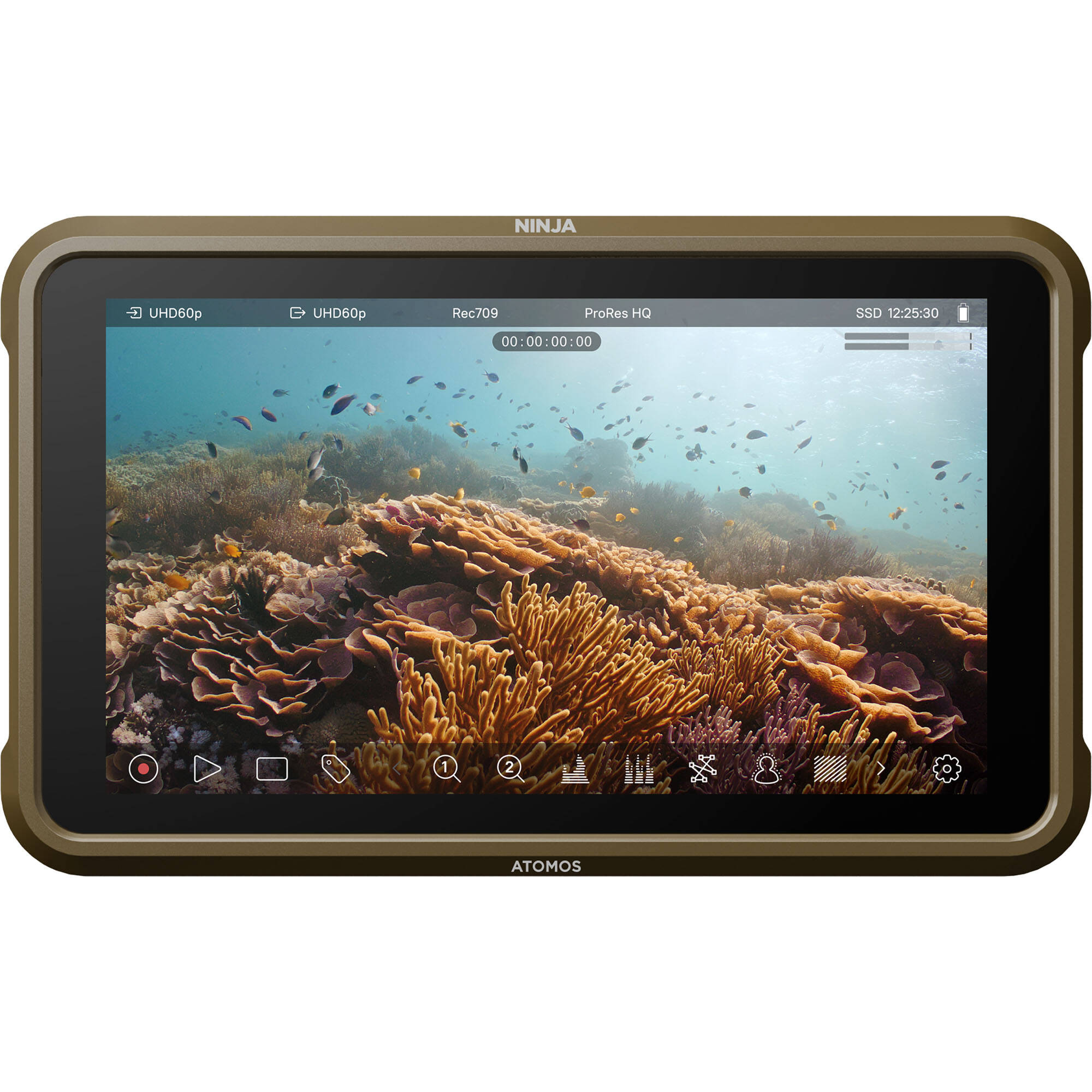 Màn hình ghi hình Atomos Ninja - 5 inch 4K HDMI Recording Monitor