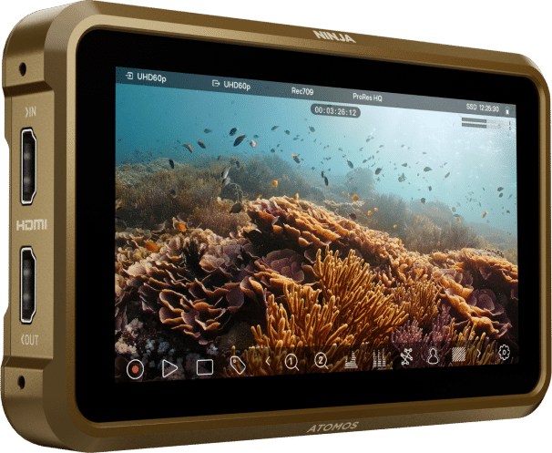 Màn hình ghi hình Atomos Ninja - 5 inch 4K HDMI Recording Monitor