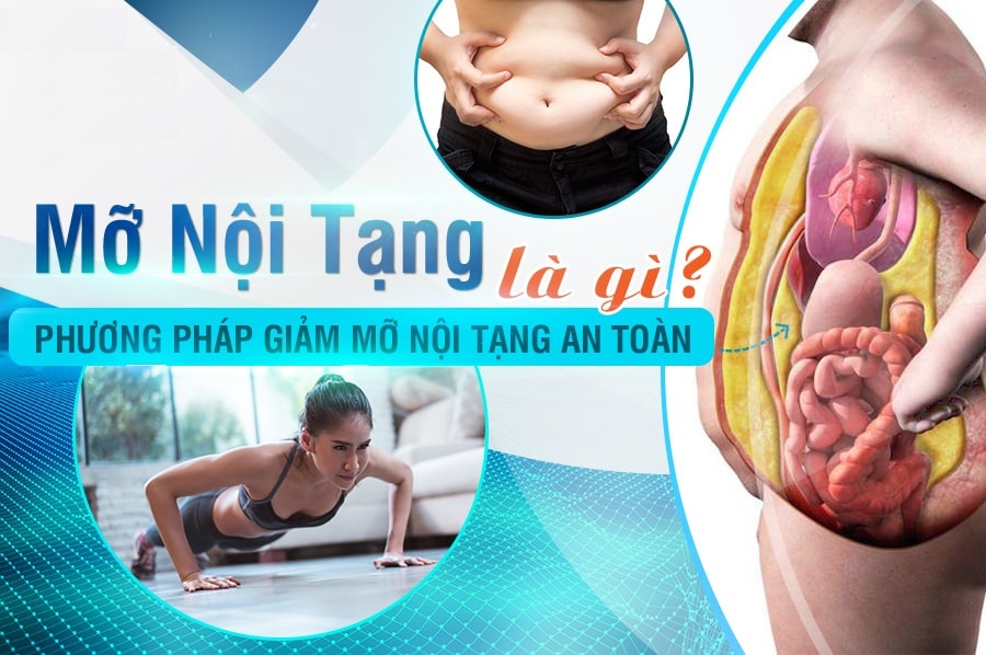 Thải độc mỡ nội tạng: Các phương pháp và sản phẩm hiệu quả