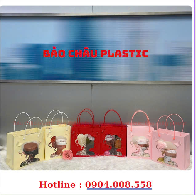 Túi  giấy đựng quà