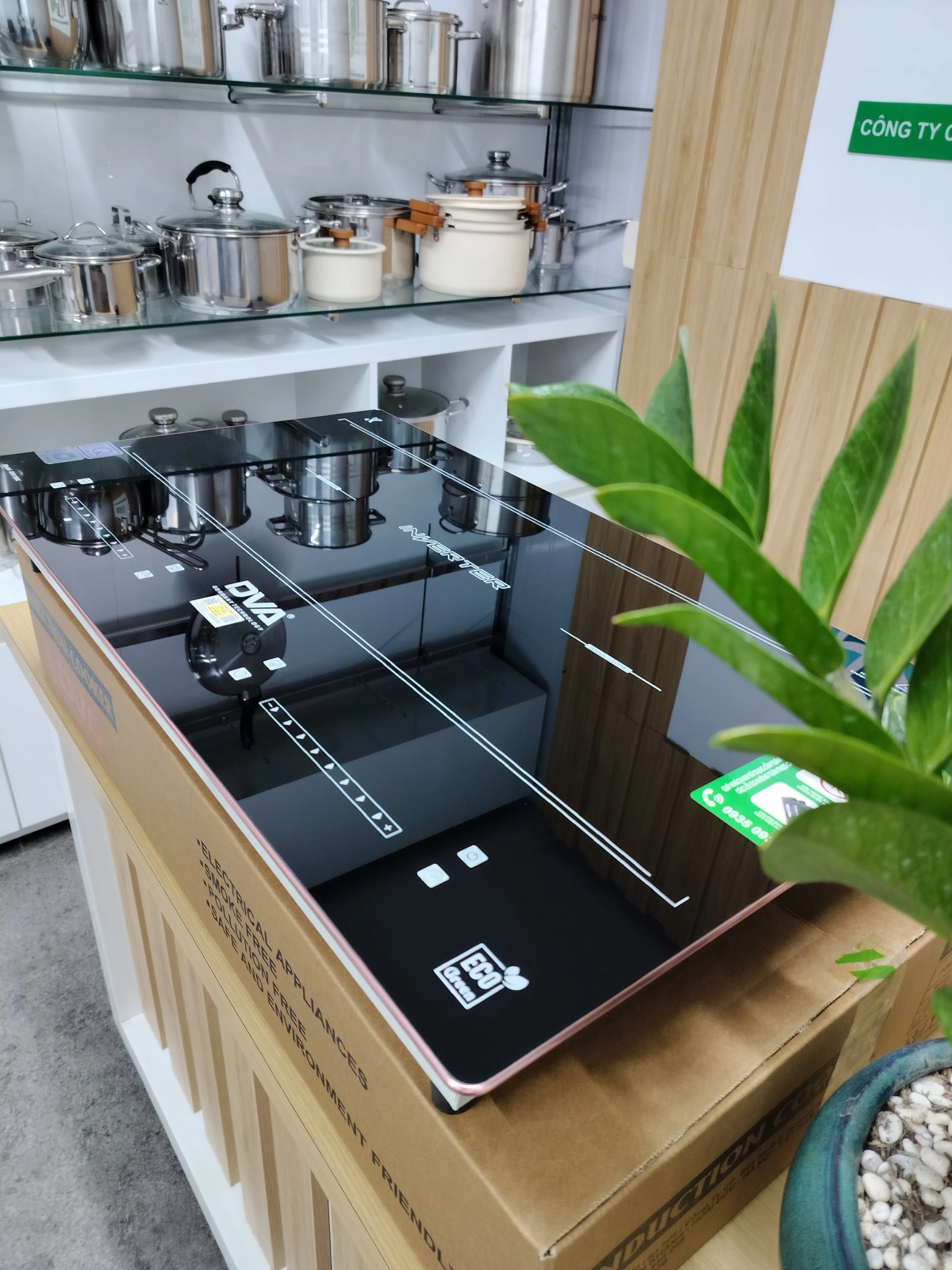Bếp từ đôi DVA 198IC_Made in Việt Nam