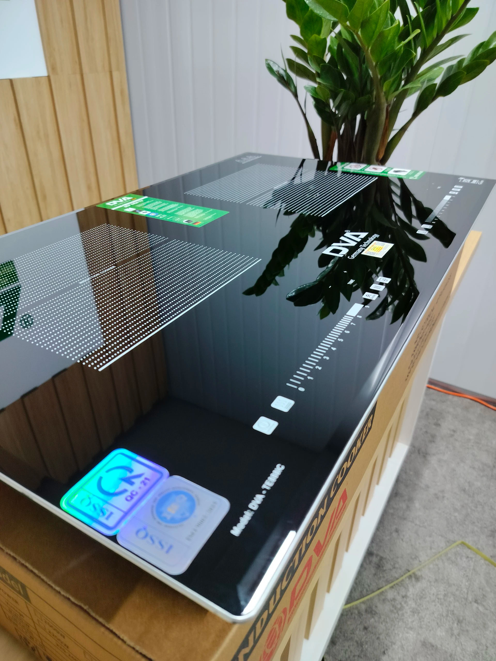 Bếp từ đôi DVA TE 888IC_Made in Việt Nam