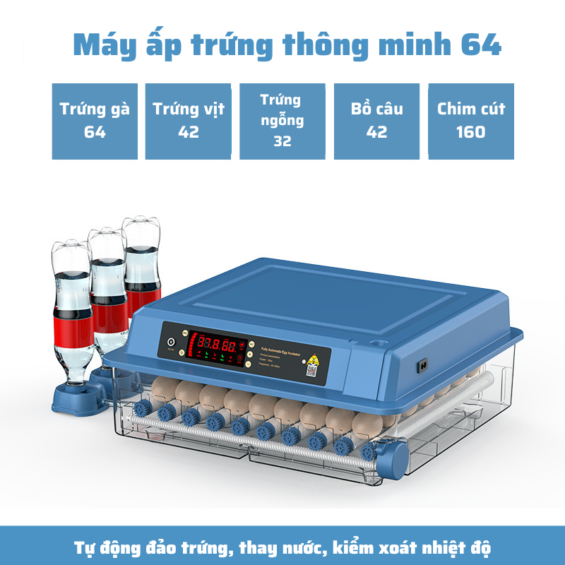 Máy ấp trứng mini ấp trứng gà tự động ấp trứng gia đình 220V VS 12V MAT