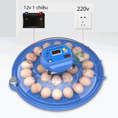 Máy ấp trứng gà thông minh tự đảo thế hệ mới ấp trứng chim bồ câu gà đá