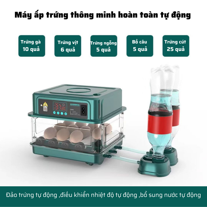 Máy ấp trứng mini ấp trứng gà tự động ấp trứng gia đình 220V VS 12V MAT