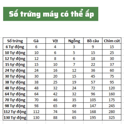 Máy ấp trứng gà mini tự động thông minh ấp trứng gà, chim, bò sát DN63