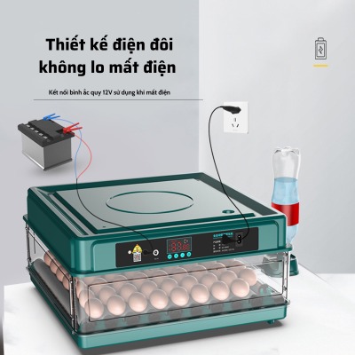 Máy ấp trứng mini ấp trứng gà tự động ấp trứng gia đình 220V VS 12V MAT