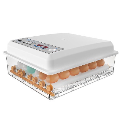 Máy ấp trứng mini ấp trứng gà tự động ấp trứng gia đình 220V VS 12V MAT