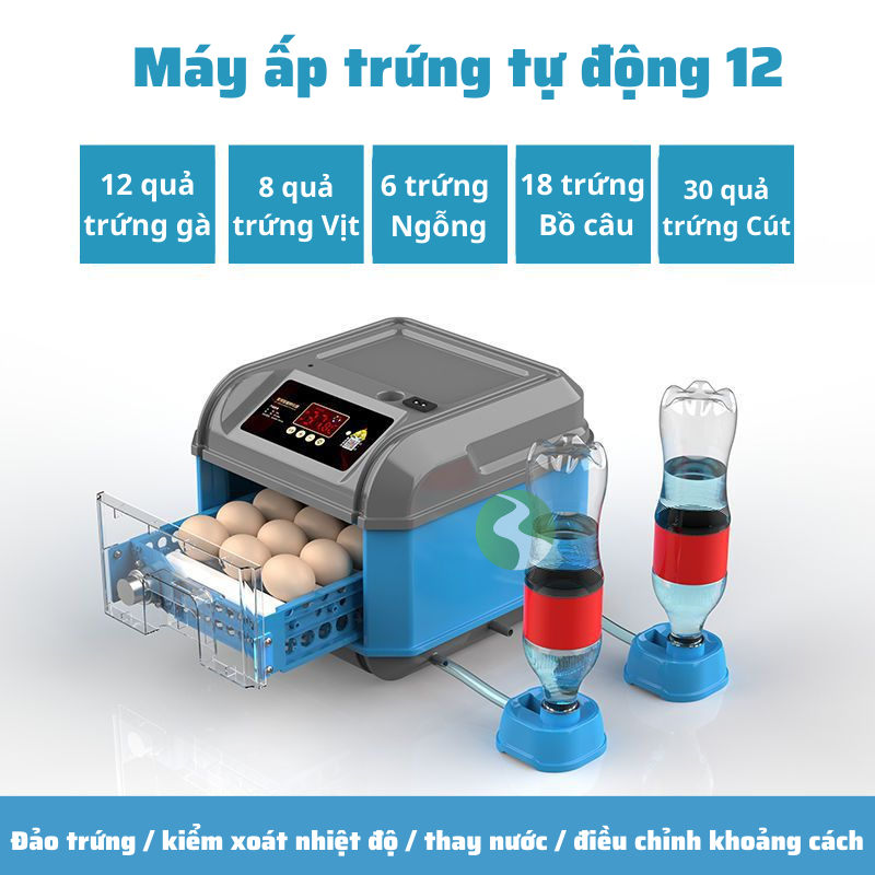 Máy ấp trứng mini ấp trứng gà tự động ấp trứng gia đình 220V VS 12V MAT