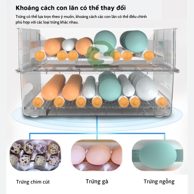 Máy ấp trứng mini ấp trứng gà tự động ấp trứng gia đình 220V VS 12V MAT