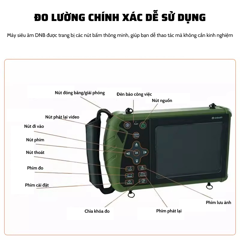 Máy Siêu Âm Thú Y - Máy Siêu Âm Thai Heo Công Nghệ Tiên Tiến Cho Chăn Nuôi Hiệu Quả