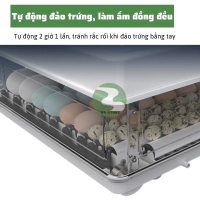 Máy ấp trứng gà mini tự động thông minh ấp trứng gà, chim, bò sát DN63