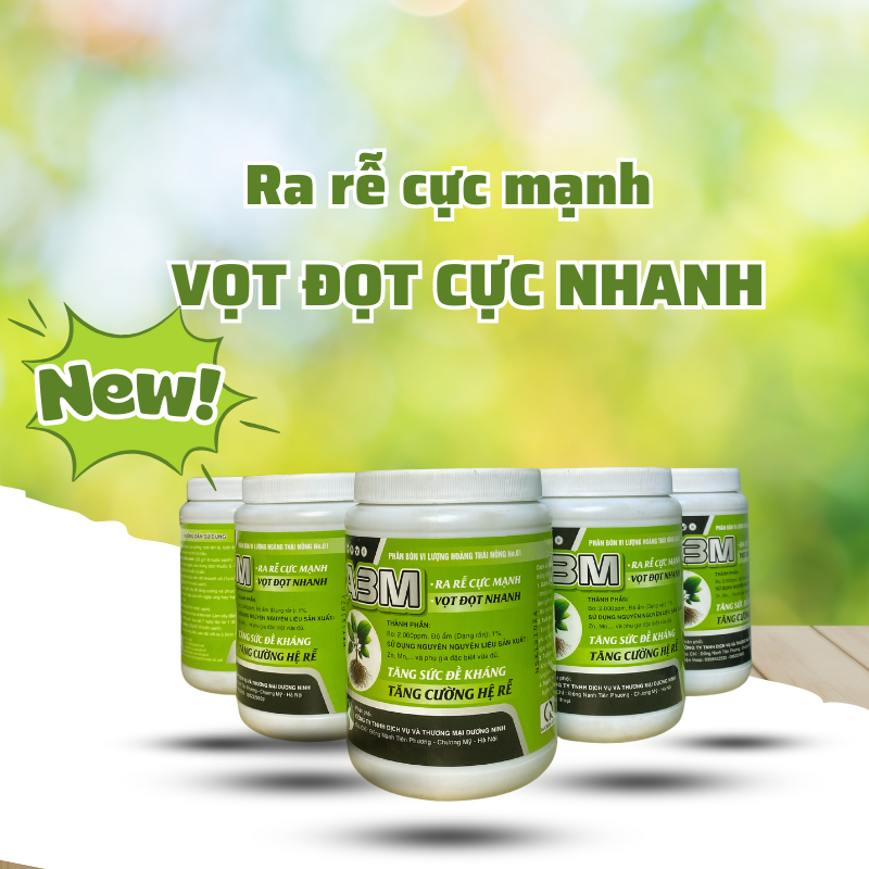 Phân Bón Kích Rễ Mạnh A3M Dương Ninh – Đẩy Đọt Nhanh - Cải Tạo Đất – Phục Hồi Cây Trồng A3M