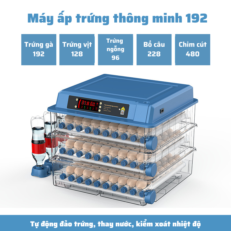 Máy ấp trứng gà, máy ấp trứng mini thông minh, Máy ấp trứng tự động thế hệ mới 220v & 12v MAT08