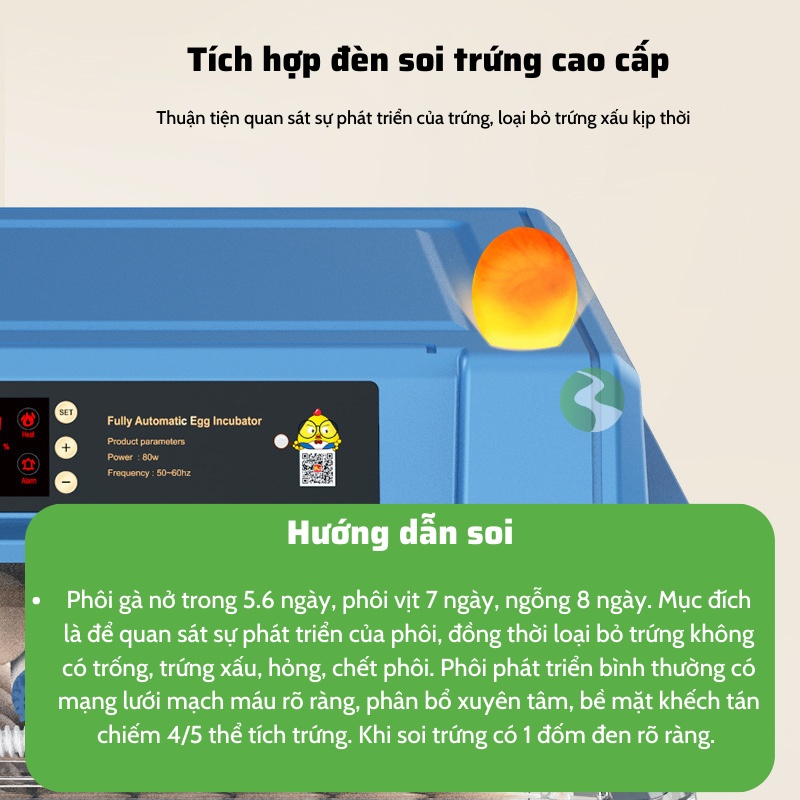 Máy ấp trứng gà, máy ấp trứng mini thông minh, Máy ấp trứng tự động thế hệ mới 220v & 12v MAT08