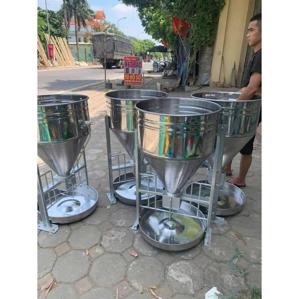 Máng Ăn Cho Heo: Giải Pháp Tối Ưu Chi Phí Và Hiệu Quả Chăn Nuôi