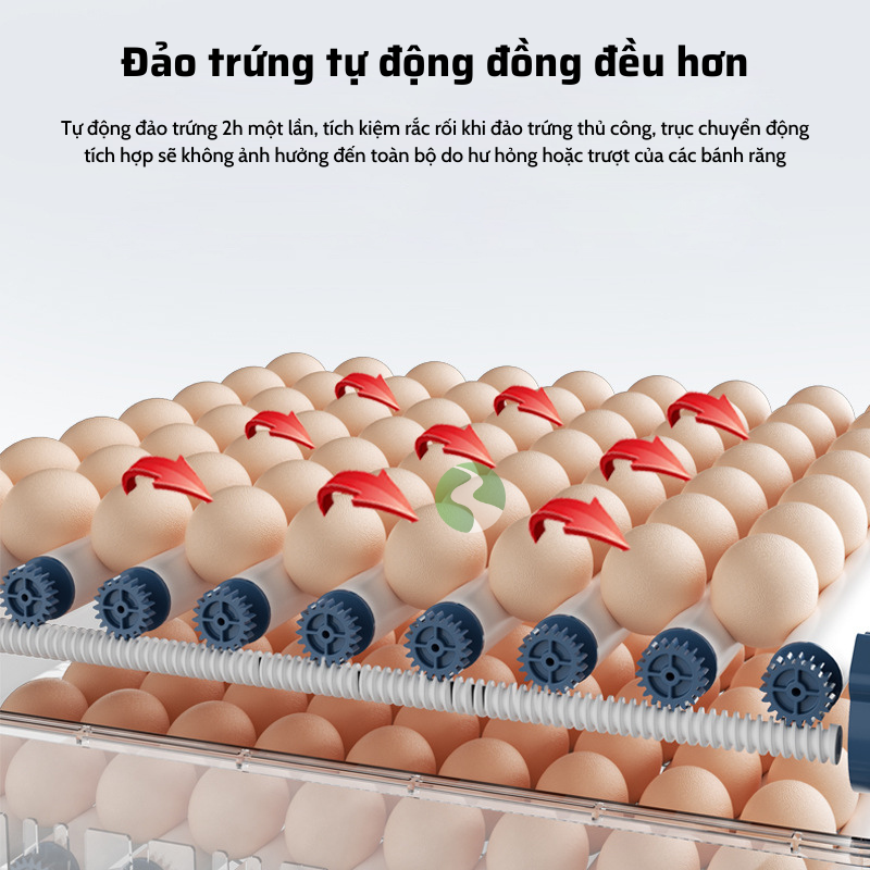 Máy ấp trứng gà, máy ấp trứng mini thông minh, Máy ấp trứng tự động thế hệ mới 220v & 12v MAT08
