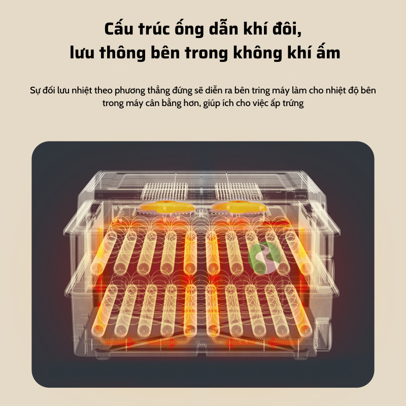 Máy ấp trứng gà, máy ấp trứng mini thông minh, Máy ấp trứng tự động thế hệ mới 220v & 12v MAT08