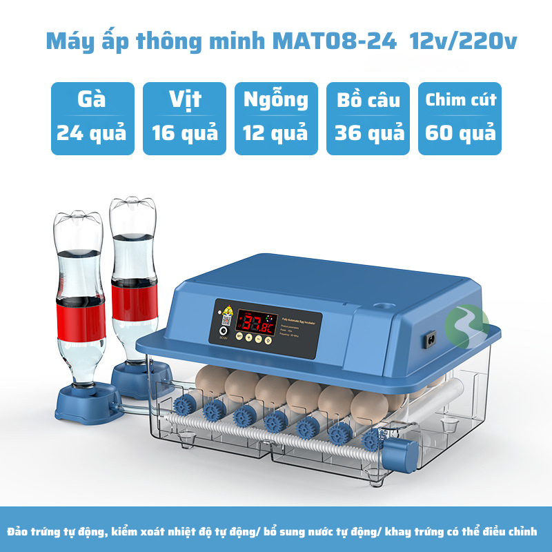 Máy ấp trứng gà, máy ấp trứng mini thông minh, Máy ấp trứng tự động thế hệ mới 220v & 12v MAT08