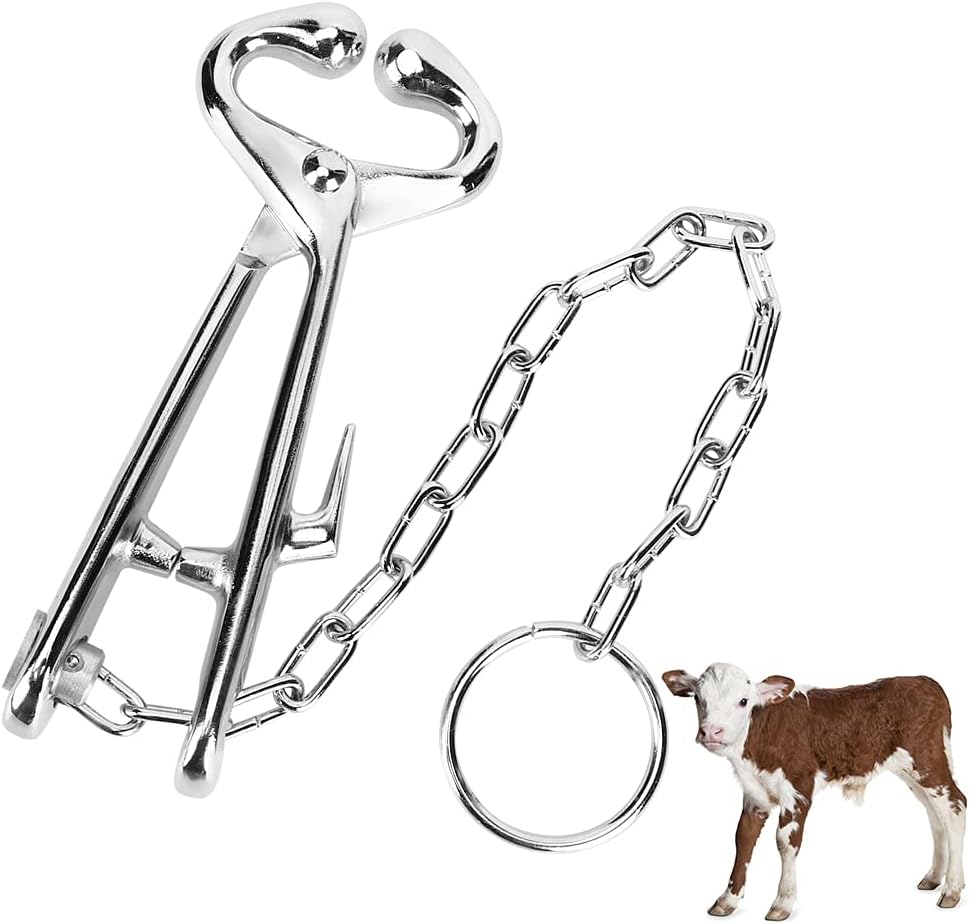 Kìm kẹp mũi bò gia xúc giữ mũi trâu bò DN11