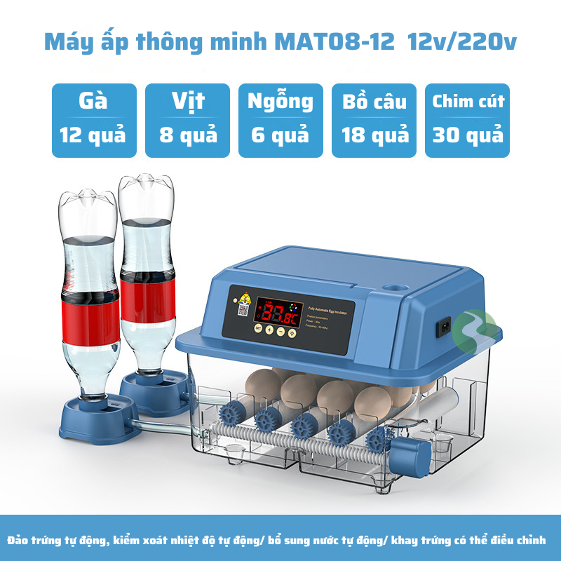 Máy ấp trứng gà, máy ấp trứng mini thông minh, Máy ấp trứng tự động thế hệ mới 220v & 12v MAT08