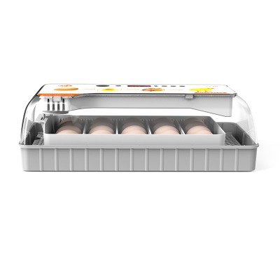 Máy ấp trứng gà thông minh mini cao cấp hiện đại T20