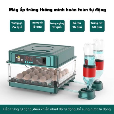 Máy ấp trứng gà mini tự động thông minh đảo trứng