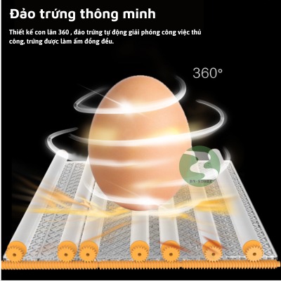 Máy ấp trứng mini ấp trứng gà tự động ấp trứng gia đình 220V VS 12V MAT