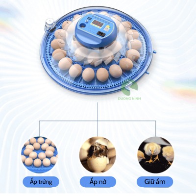 Máy ấp trứng gà thông minh tự đảo thế hệ mới ấp trứng chim bồ câu gà đá