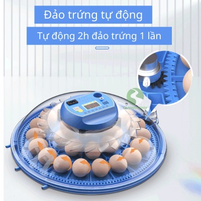 Máy ấp trứng gà thông minh tự đảo thế hệ mới ấp trứng chim bồ câu gà đá