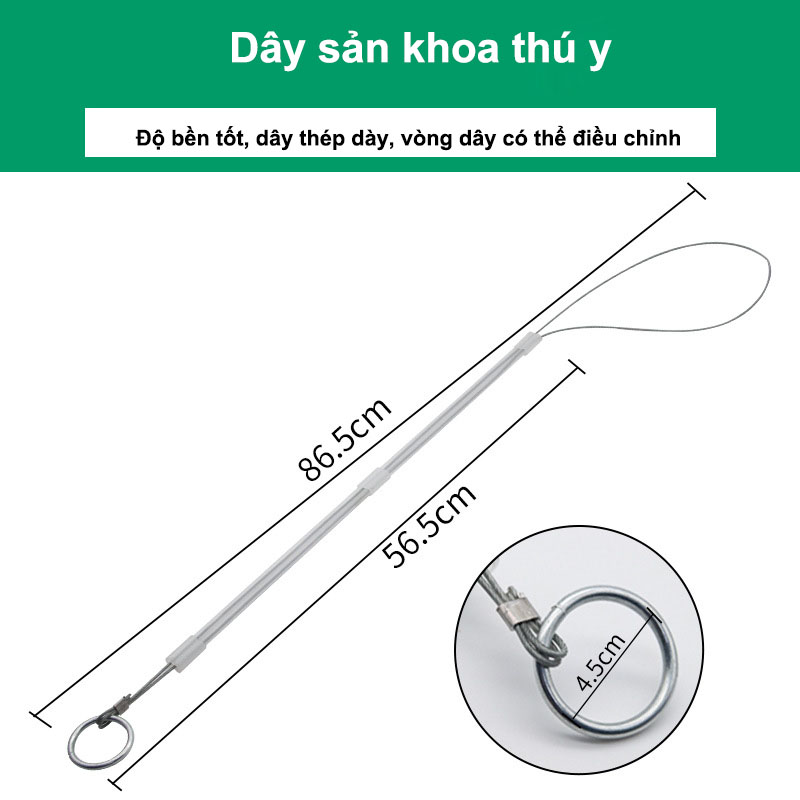 Thanh Đỡ Đẻ Cho Heo – Dụng Cụ Hỗ Trợ Đỡ Đẻ An Toàn, Tiết Kiệm Nhân Công