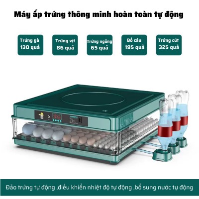 Máy ấp trứng gà mini tự động thông minh đảo trứng