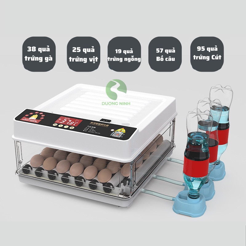 Máy ấp trứng gà mini tự động thông minh ấp trứng gà, chim, bò sát DN63