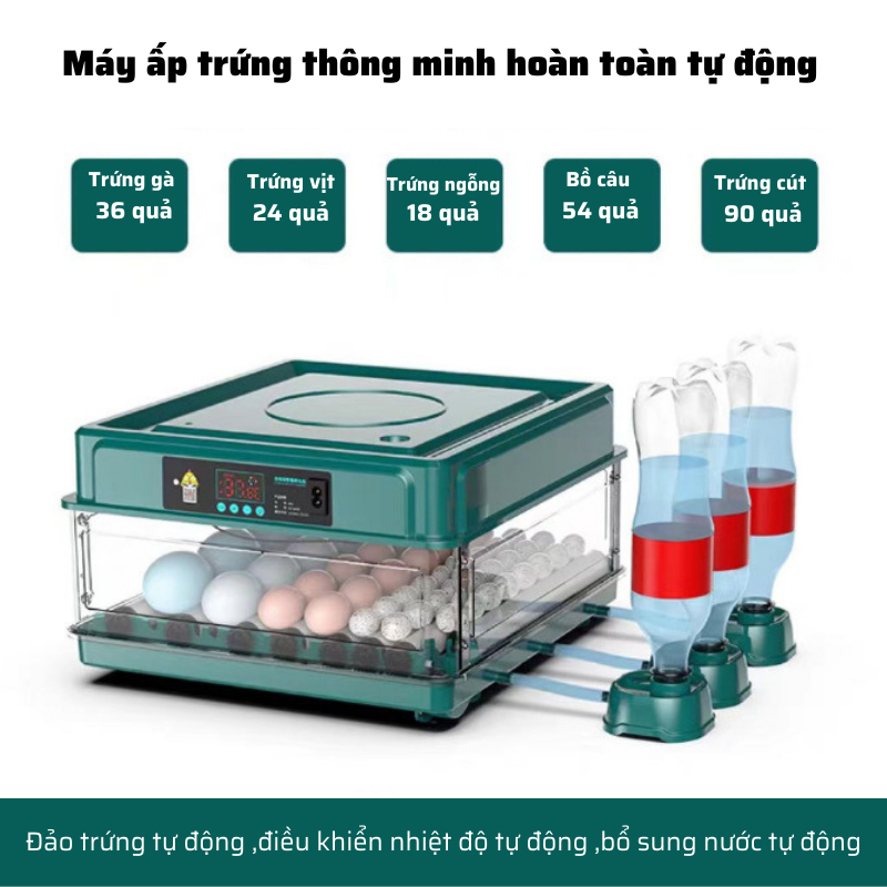 Máy ấp trứng gà mini tự động thông minh đảo trứng